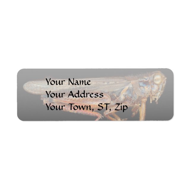 Science - Entomology - The specimin Label (Front)