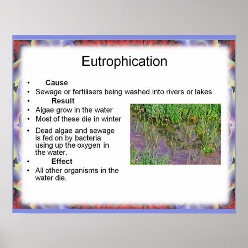 Science Environmental Chemistry Eutrophication Poster