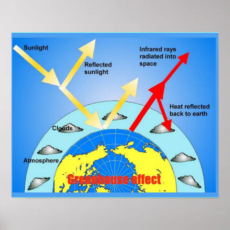 Science Greenhouse Effect Diagram Poster Zazzle