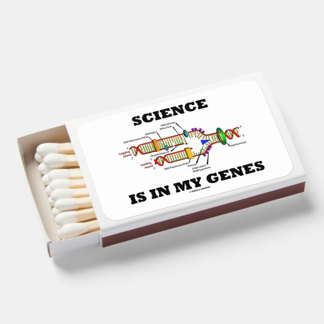 Science Is In My Genes DNA Replication Matchboxes (Front Open)