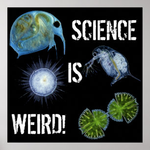 Science is Weird poster! Poster