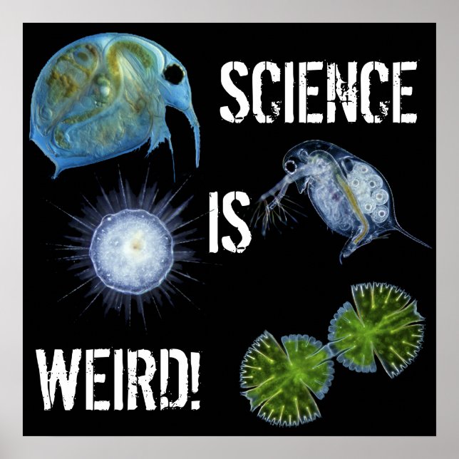 Science is Weird poster! Poster (Front)