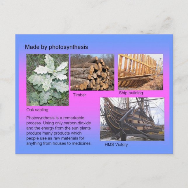 Science, Made by Photosynthesis! Postcard (Front)