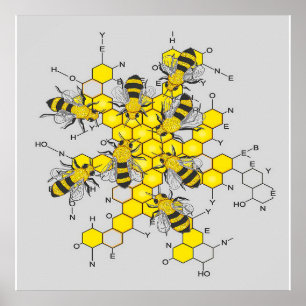 Science of honey and bees gift for bee lover poster