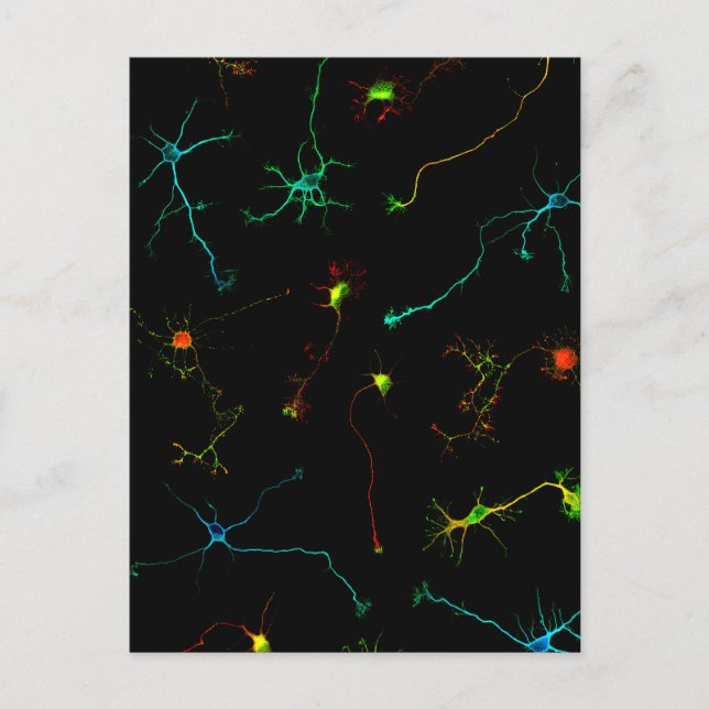 science postcard (Front)