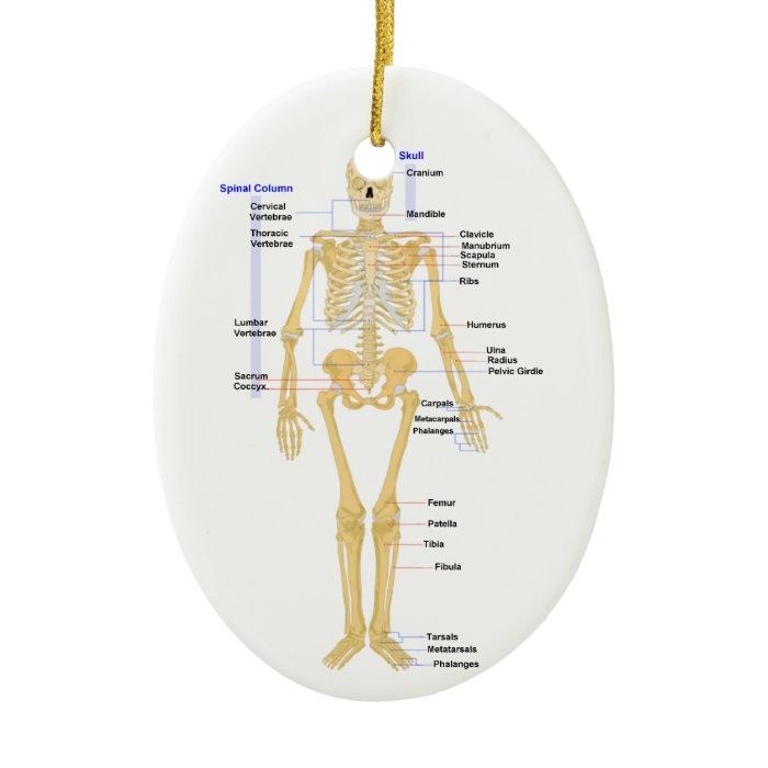 Science Teacher Christmas Ornament