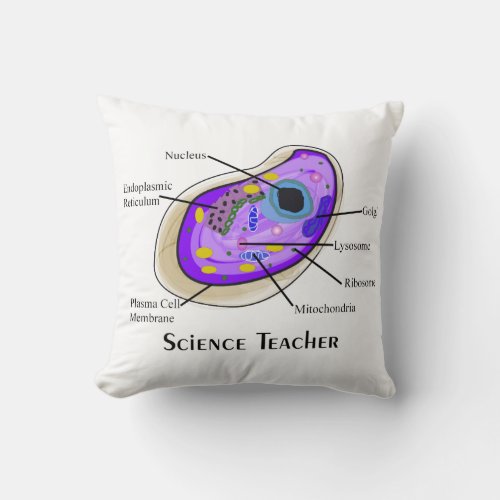 Science Teacher Pillow Human Cell Anatomy