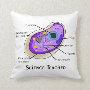 Science Teacher Pillow Human Cell Anatomy