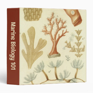 Science Textbook Biology, Vintage Coral Animals 3 Ring Binder