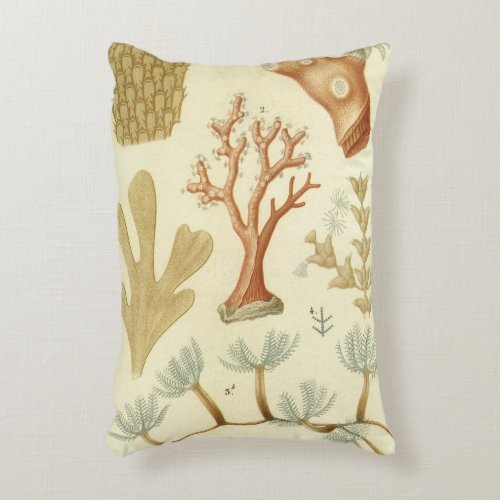 Science Textbook Biology Vintage Coral Animals Accent Pillow