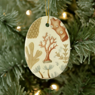 Science Textbook Biology, Vintage Coral Animals Ceramic Ornament