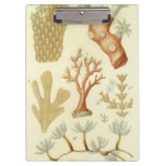 Science Textbook Biology, Vintage Coral Animals Clipboard