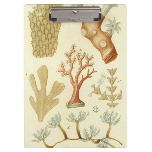 Science Textbook Biology Vintage Coral Animals Clipboard