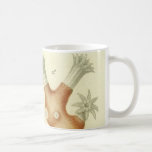 Science Textbook Biology, Vintage Coral Animals Coffee Mug