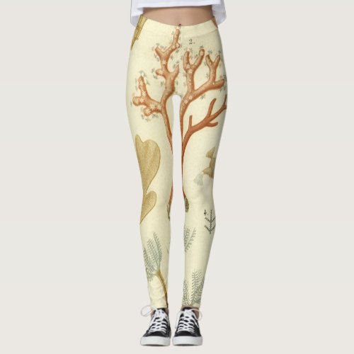 Science Textbook Biology Vintage Coral Animals Leggings