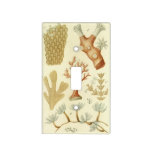 Science Textbook Biology, Vintage Coral Animals Light Switch Cover