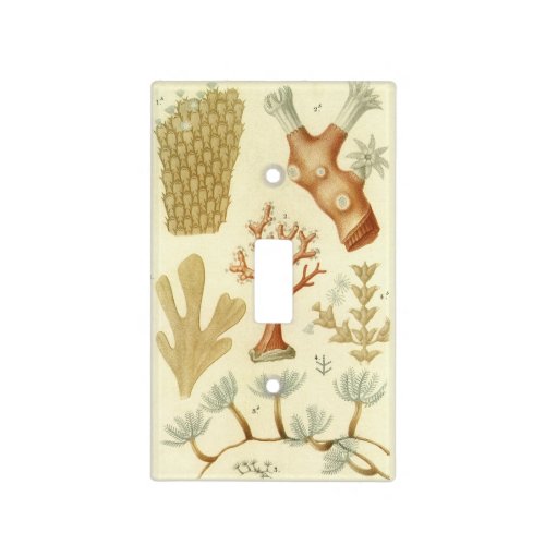 Science Textbook Biology Vintage Coral Animals Light Switch Cover
