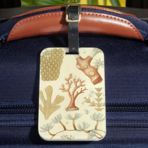 Science Textbook Biology Vintage Coral Animals Luggage Tag