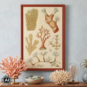 Science Textbook Biology, Vintage Coral Animals Poster