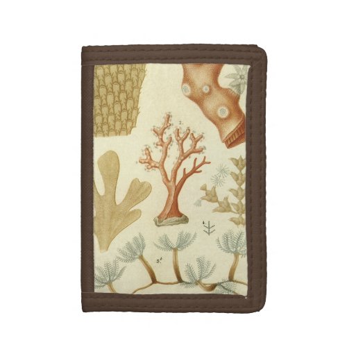 Science Textbook Biology Vintage Coral Animals Trifold Wallet