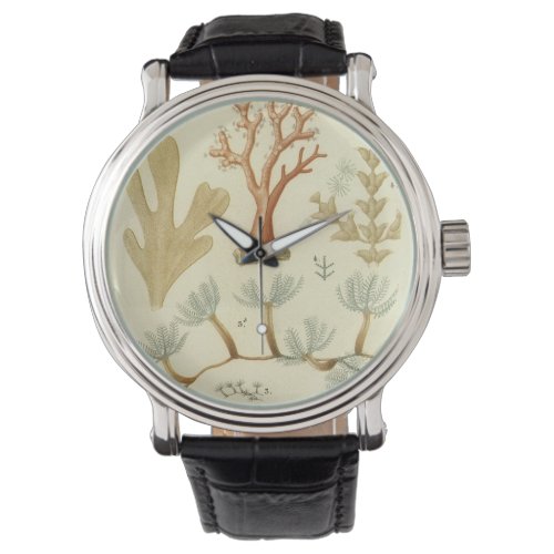 Science Textbook Biology Vintage Coral Animals Watch