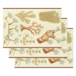 Science Textbook Biology, Vintage Coral Animals Wrapping Paper Sheets