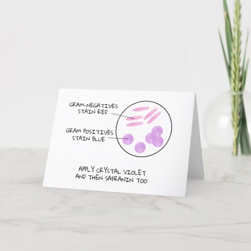 Science Valentine Microbiology Gram Stain Poem Lab Holiday Card