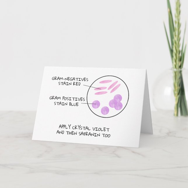 Science Valentine Microbiology Gram Stain Poem Lab Holiday Card (Front)
