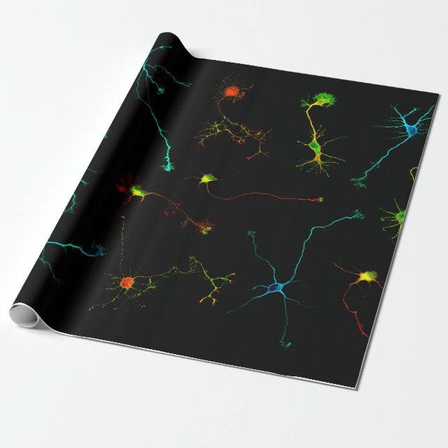 science wrapping paper (Unrolled)