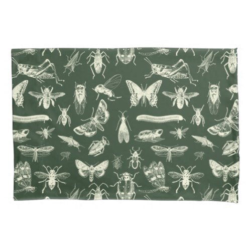 Scientific Antique Bugs Insects Cream and Green Pillow Case
