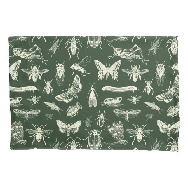 Scientific Antique Bugs Insects Cream and Green Pillow Case (Front)