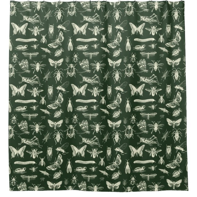 Scientific Antique Bugs Insects Cream and Green Shower Curtain (Front)