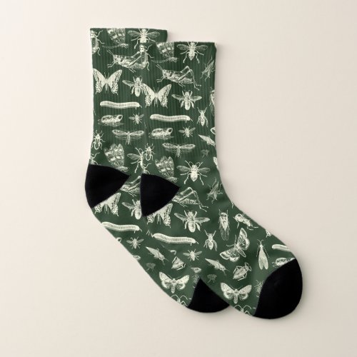 Scientific Antique Bugs Insects Cream and Green Socks