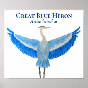 Scientific Bird Watercolor Great Blue Heron Poster