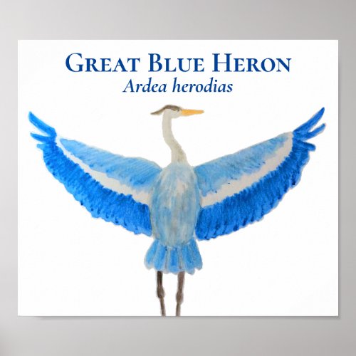 Scientific Bird Watercolor Great Blue Heron Poster
