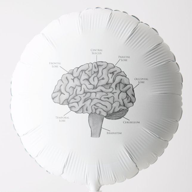Scientific Brain Balloon (Front)