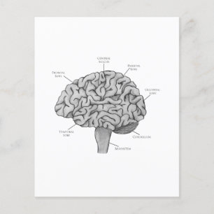 Scientific Brain Flyer