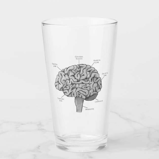 Scientific Brain Glass (Front)