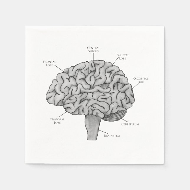 Scientific Brain Napkins (Front)