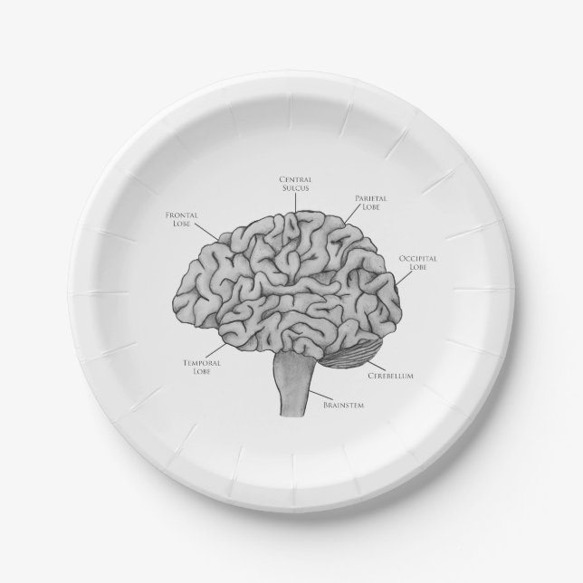 Scientific Brain Paper Plates (Front)