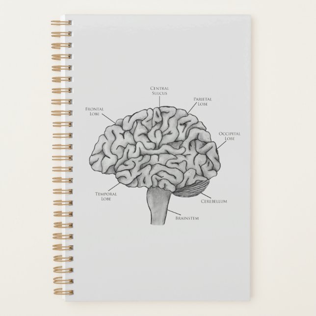 Scientific Brain Planner (Front)