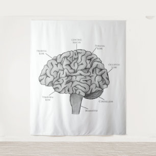 Scientific Brain Tapestry