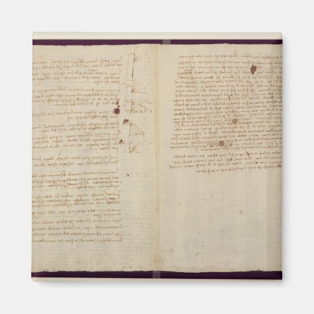 Scientific diagrams magnet (Front)