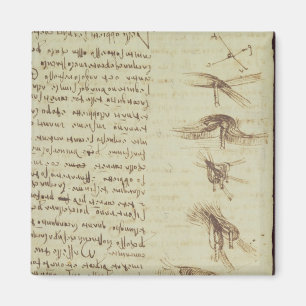 Scientific diagrams magnet