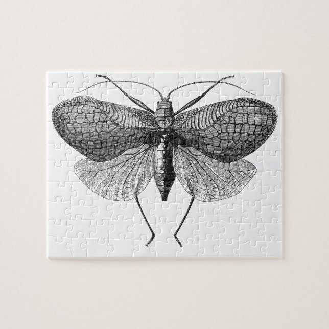scientific illustration of moth jigsaw puzzle (Horizontal)