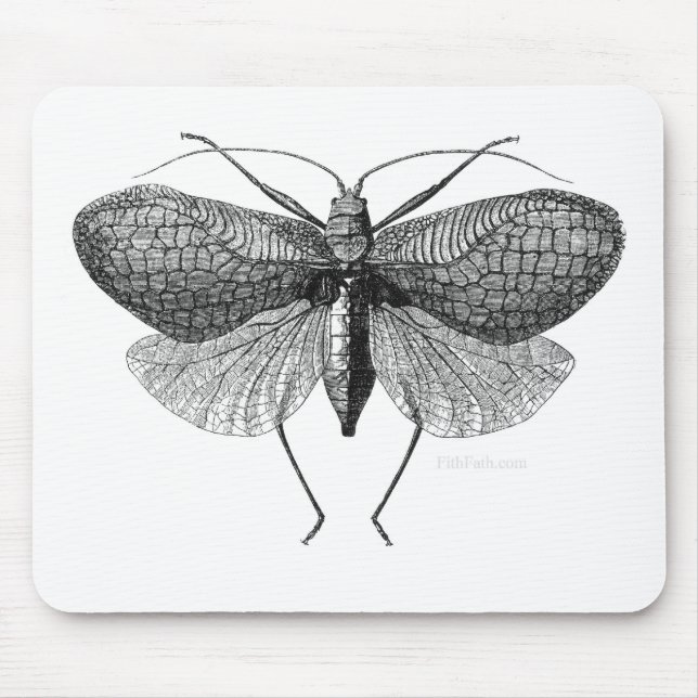 scientific illustration of moth mouse pad (Front)