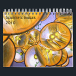 Scientific Images Calendar 2010<br><div class="desc">3D Images of science in a calendar for 2010</div>