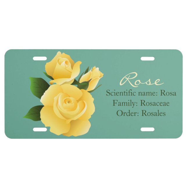 Scientific name: Rosa Family: Rosaceae Order: Rosa License Plate (Front)