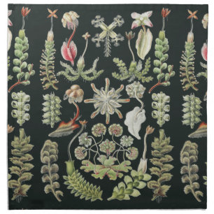 Scientific Nature Art Ernst Haeckel Liverworts Cloth Napkin