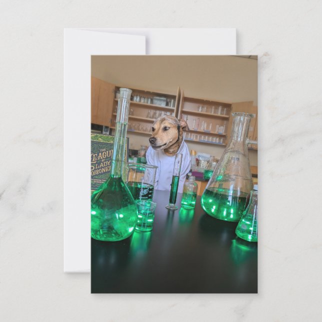 Scientist Funny Cute Dog book costume notecard (Front)